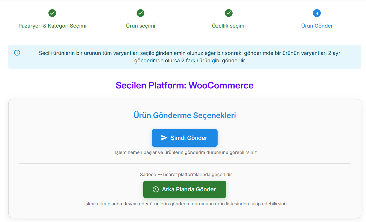 Ürün gönder — Şimdi Gönder veya Arka Planda Gönder.